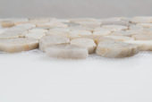 12X12 Flat Fiji Cream | Glens Falls Tile & Supplies