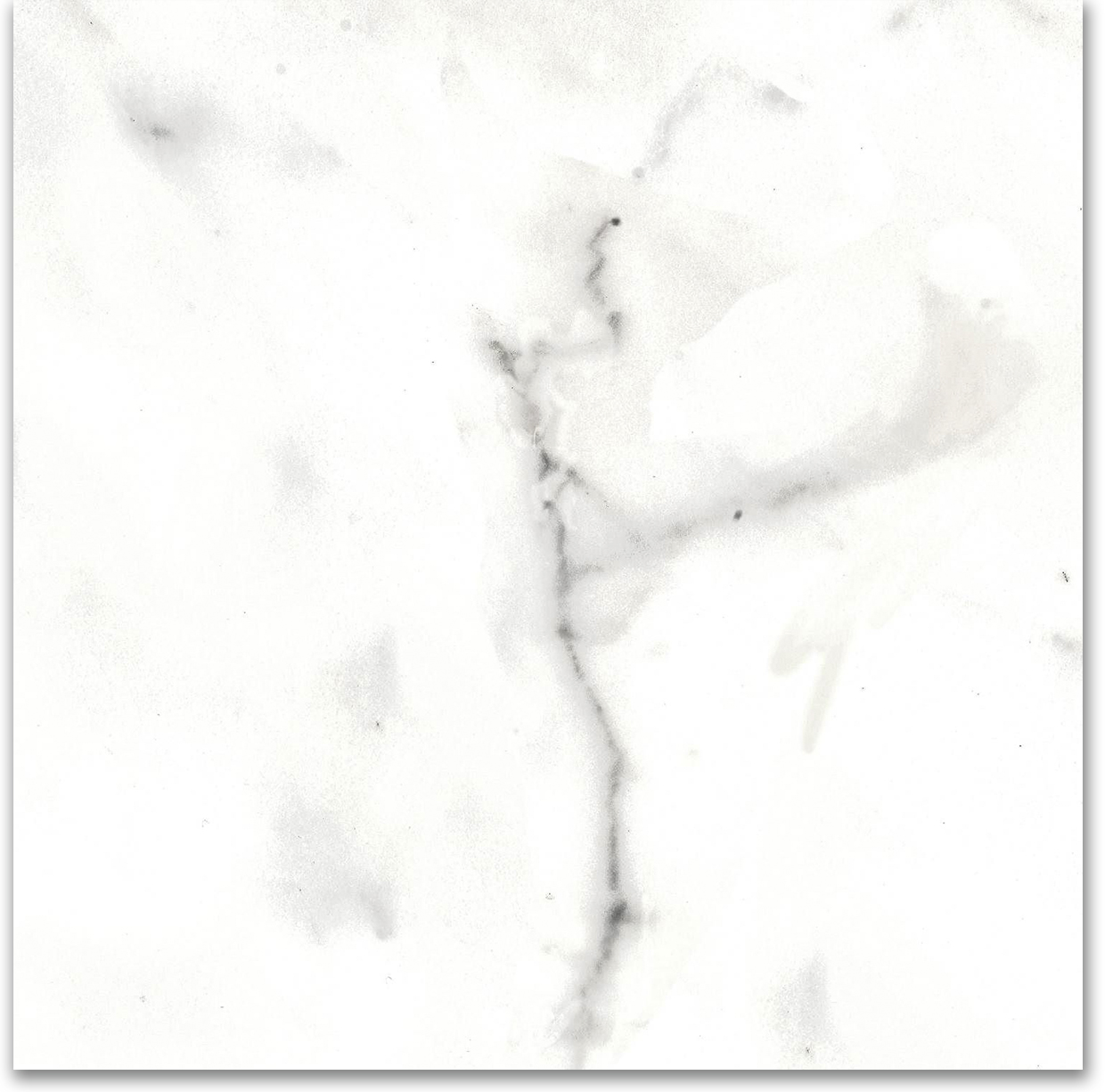 12X12F Calacatta | Glens Falls Tile & Supplies
