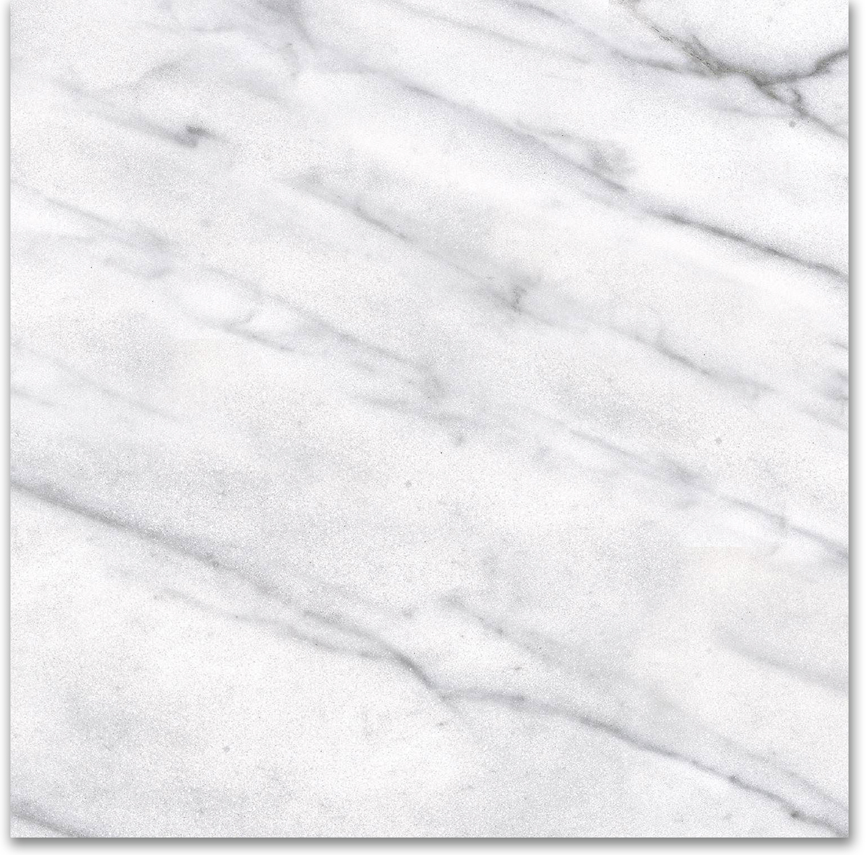 12X12F Carrara | Glens Falls Tile & Supplies