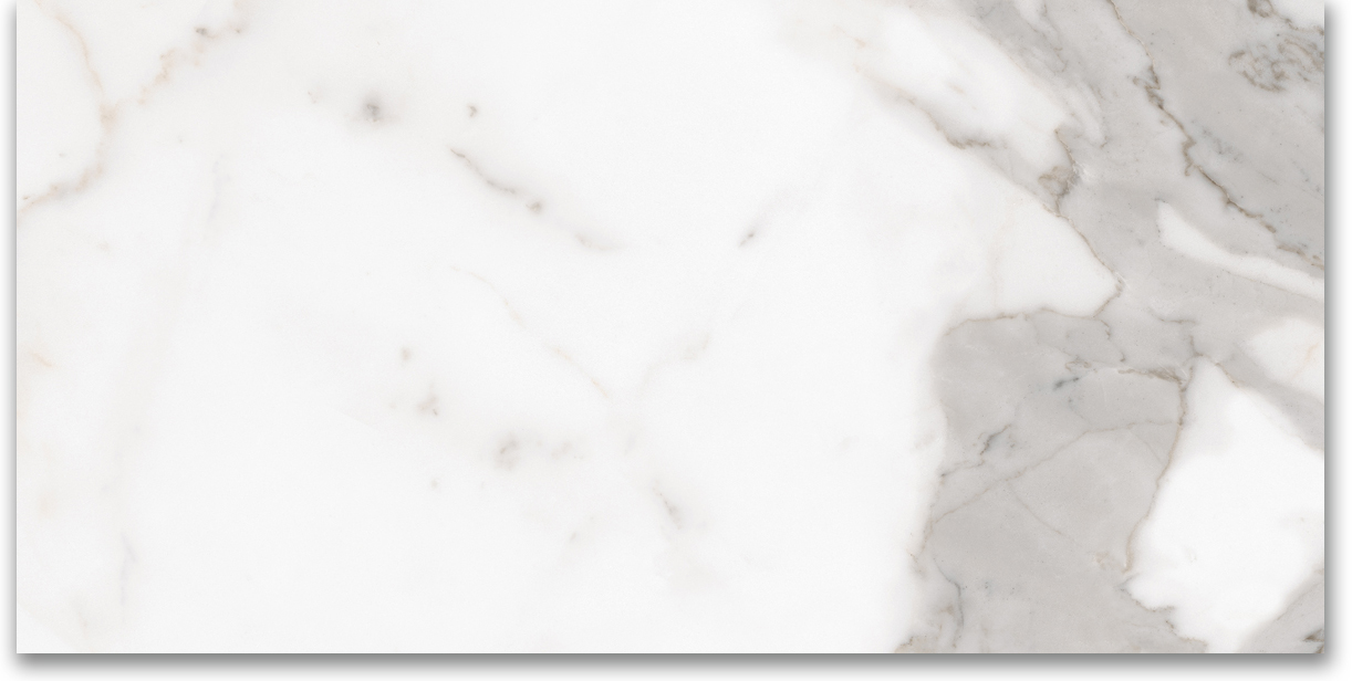 12X24 Matte Amore Grey | Glens Falls Tile & Supplies