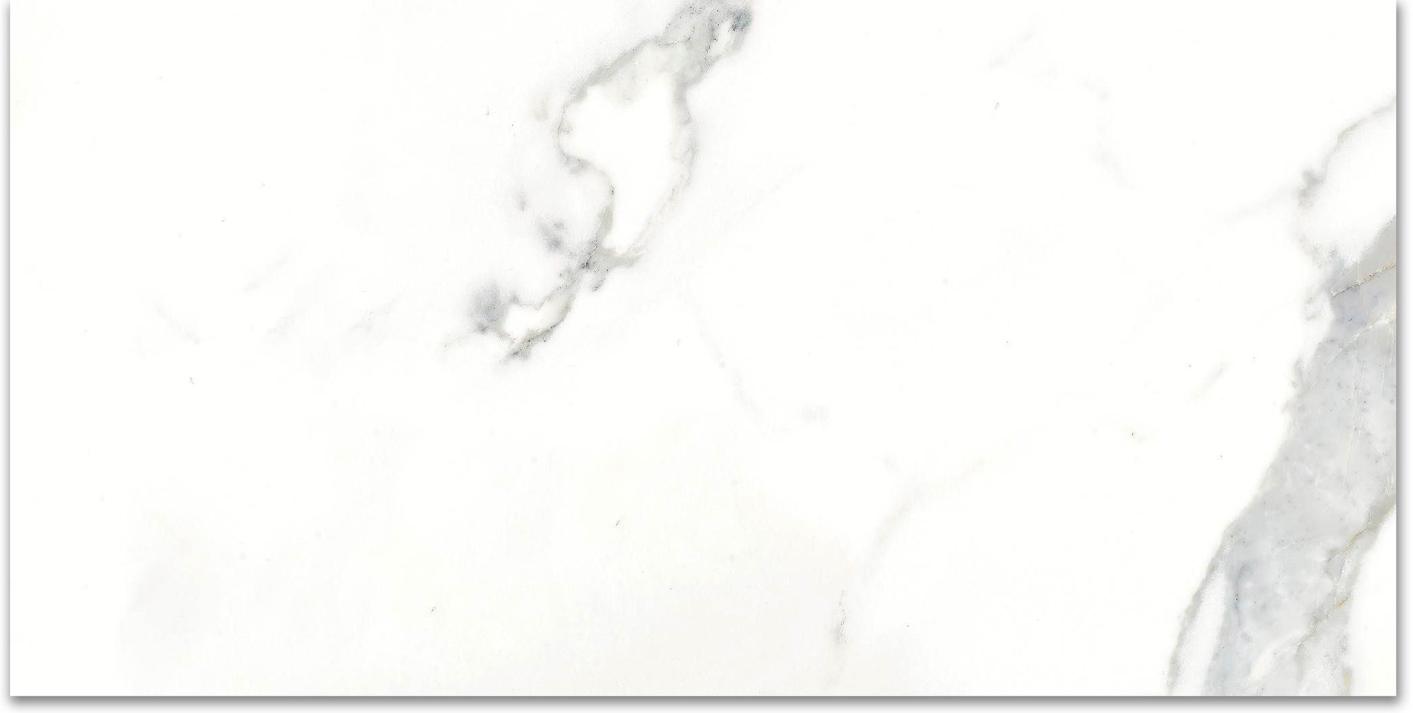 12X24F Calacatta | Glens Falls Tile & Supplies
