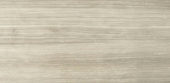 12X24F Clay Polished | Glens Falls Tile & Supplies