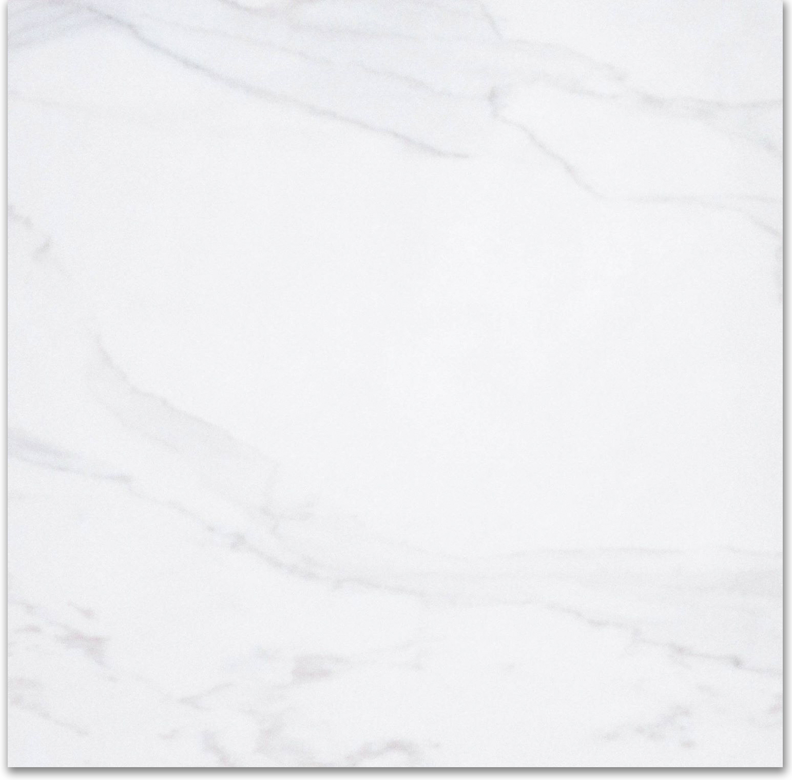 24X24F Calacatta | Glens Falls Tile & Supplies