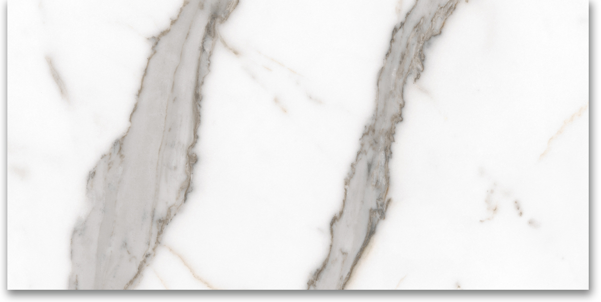 24X48 Matte Amore Grey | Glens Falls Tile & Supplies