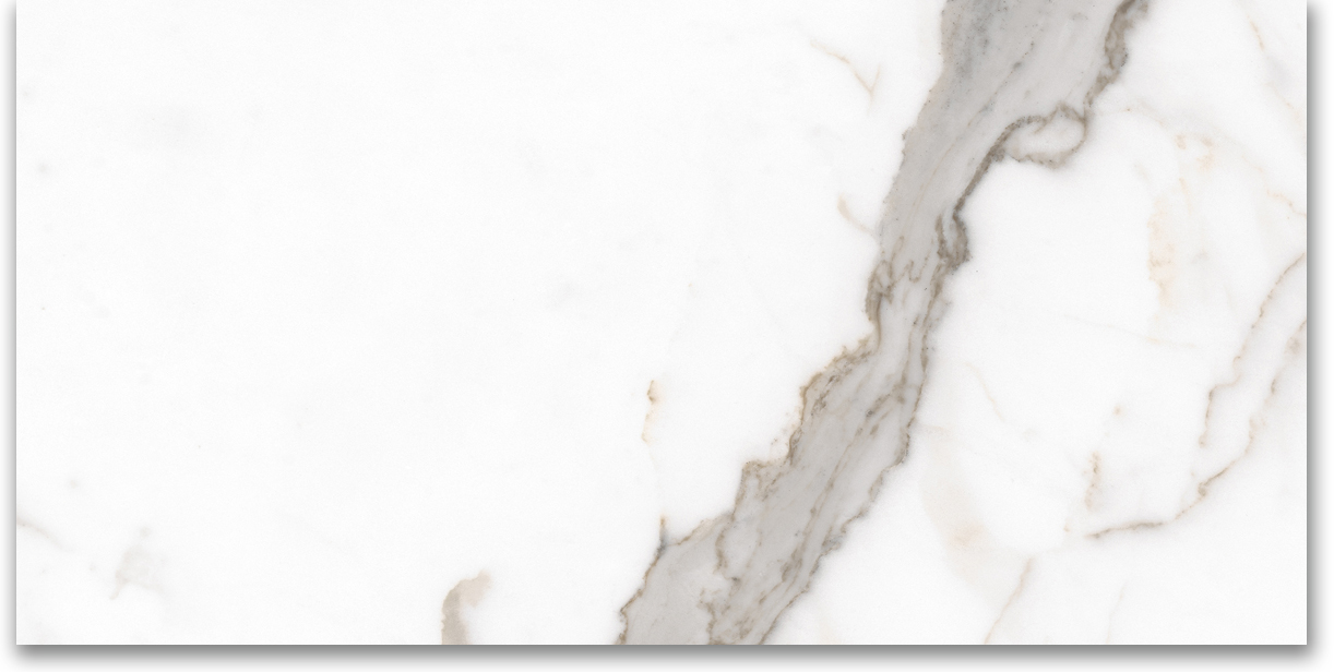 24X48 Polished Amore Grey | Glens Falls Tile & Supplies