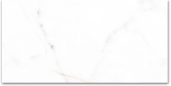 24X48 Polished Amore Grey | Glens Falls Tile & Supplies