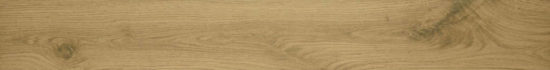3X24 Acadia Natural Bullnose | Glens Falls Tile & Supplies
