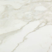 Amalfi Calacatta Honed 24X24 | Glens Falls Tile & Supplies