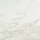 Amalfi Calacatta Honed 24X24 | Glens Falls Tile & Supplies