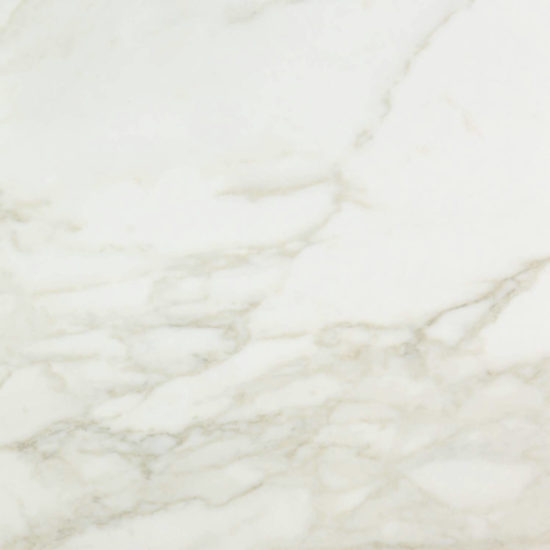 Amalfi Calacatta Honed 24X24 | Glens Falls Tile & Supplies