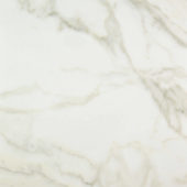 Amalfi Calacatta Polished 24X24 | Glens Falls Tile & Supplies