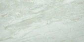 Amur 12X24 | Glens Falls Tile & Supplies