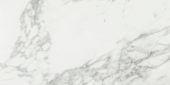 Arabescato Verona Honed 12X24 | Glens Falls Tile & Supplies