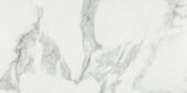 Arabescato Verona Honed 12X24 | Glens Falls Tile & Supplies