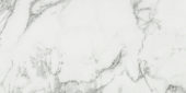 Arabescato Verona Honed 12X24 | Glens Falls Tile & Supplies