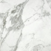Arabescato Verona Honed 24X24 | Glens Falls Tile & Supplies