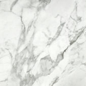 Arabescato Verona Honed 24X24 | Glens Falls Tile & Supplies