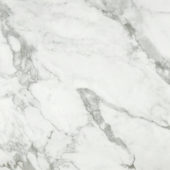 Arabescato Verona Honed 24X24 | Glens Falls Tile & Supplies
