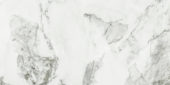 Arabescato Verona Honed 24X48 | Glens Falls Tile & Supplies