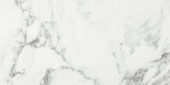 Arabescato Verona Honed 24X48 | Glens Falls Tile & Supplies