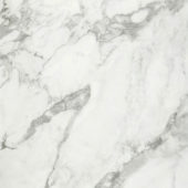 Arabescato Verona Honed 32X32 | Glens Falls Tile & Supplies