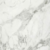 Arabescato Verona Honed 32X32 | Glens Falls Tile & Supplies