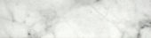 Arabescato Verona Honed 3X12 Bullnose | Glens Falls Tile & Supplies