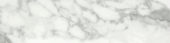 Arabescato Verona Honed 3X12 Bullnose | Glens Falls Tile & Supplies