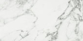 Arabescato Verona Polished 24X48 | Glens Falls Tile & Supplies