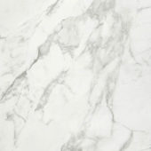 Arabescato Verona Polished 32X32 | Glens Falls Tile & Supplies