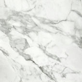 Arabescato Verona Polished 32X32 | Glens Falls Tile & Supplies