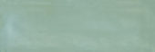 Aruba Moss Gloss 2x6 | Glens Falls Tile & Supplies