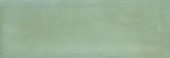 Aruba Moss Gloss 2x6 | Glens Falls Tile & Supplies