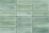 Aruba Moss Matt 2x6 | Glens Falls Tile & Supplies