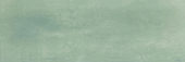 Aruba Moss Matt 2x6 | Glens Falls Tile & Supplies