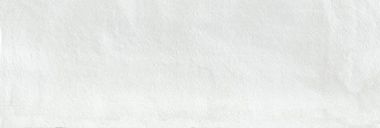 Aruba White Matt 2x6 | Glens Falls Tile & Supplies