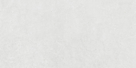 Ashland 24X48 White | Glens Falls Tile & Supplies