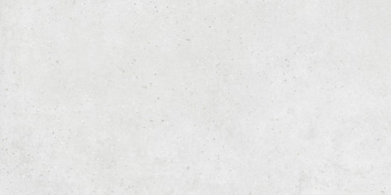 Ashland 24X48 White | Glens Falls Tile & Supplies