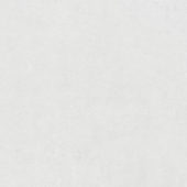 Ashland 30X30 White | Glens Falls Tile & Supplies