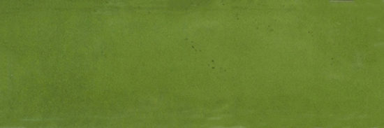 Barcelona 2x6" Olive | Glens Falls Tile & Supplies