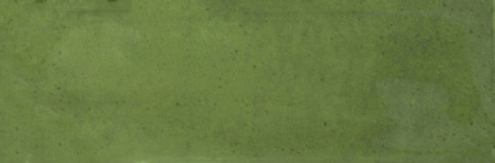 Barcelona 2x6" Olive | Glens Falls Tile & Supplies