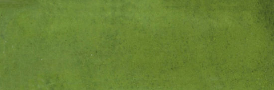 Barcelona 2x6" Olive | Glens Falls Tile & Supplies