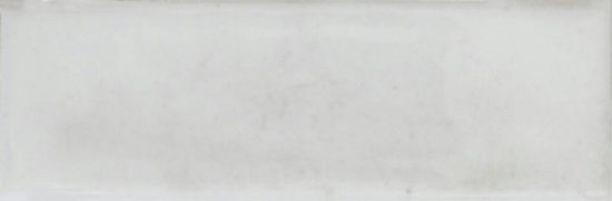 Barcelona 2x6" White | Glens Falls Tile & Supplies