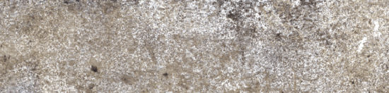 Brix 2x10 Mud | Glens Falls Tile & Supplies