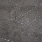 Carpantian Matte Wall Panel 24x48 | Glens Falls Tile & Supplies