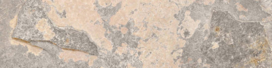 Chitwan Gris 3X12 Bullnose | Glens Falls Tile & Supplies