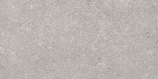 Denver 12X24F Graphite Matte | Glens Falls Tile & Supplies