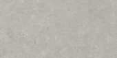 Denver 12X24F Graphite Matte | Glens Falls Tile & Supplies