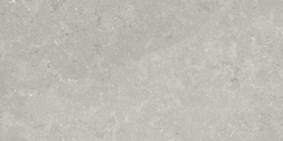 Denver 12X24F Graphite Matte | Glens Falls Tile & Supplies