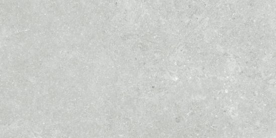Denver 12X24F Platinum Matte | Glens Falls Tile & Supplies